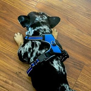 Meet your Posher, La